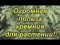 Кремний против стрессов у растений-переворот сознания!