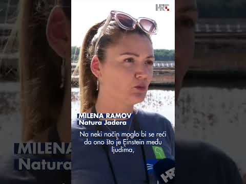 Tko leti zadarskim i ninskim nebom?