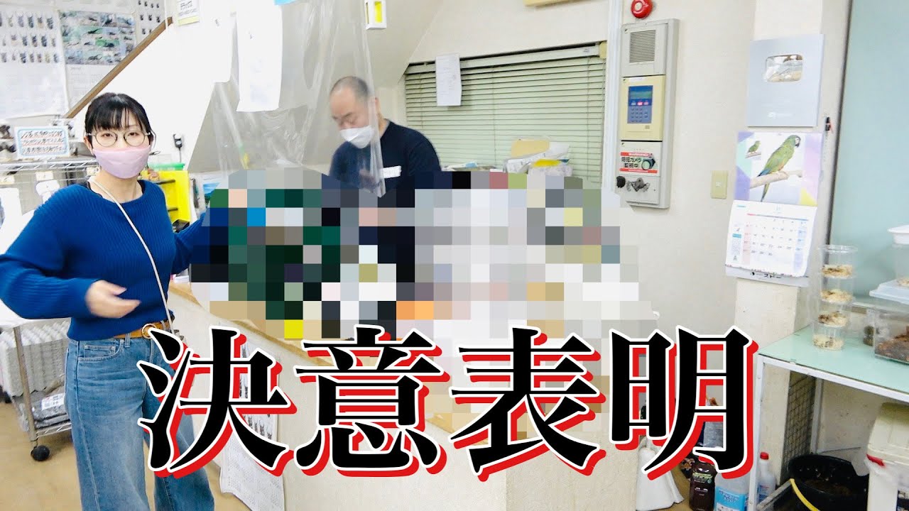 老舗の昆虫ショップで頑張って買い物した理由