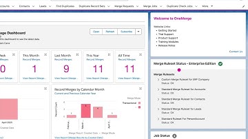 OneMerge Actionable Duplicate Reporting