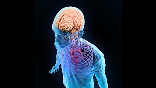 TriMethylGlycine (TMG), Methylation, and Heart Health