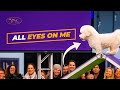 Winky the Bichon Frise Steals the Show | Westminster Dog Show Mp3 Song