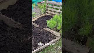 Before And After - Satisfying Bed Clearing