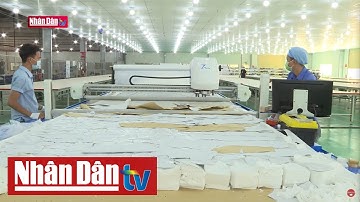 Khởi nghiệp đổi mới sáng tạo - Động lực tăng trưởng mới của của nền kinh tế | Tâm điểm kinh tế