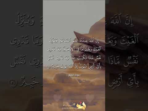 سورة لقمان ياأيها الناس اتقوا ربكم الآيات  