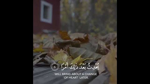 القارئ رعد الكردي سورة (الطلاق)