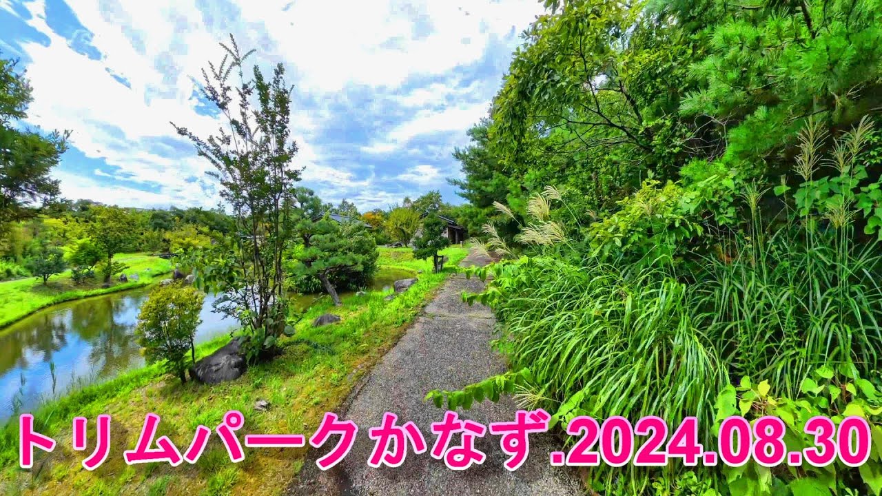福井県あわら市の「トリムパークかなず」をウオーキング  2024.08.30