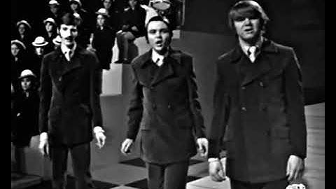 Thumbnail of SANDPIPERS Guantanamera STEREO