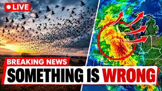 Radar Just Caught Millions of Birds Fleeing the Midwest — Here’s Why