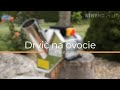 Drtič ovoce Strend Pro EFC-2, 200kg/h, 550W - Drtič ovoce Strend Pro EFC-2, 200kg/h, 550W