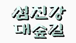 #전남 구례  대나무  숲길#섬진강 대숲길#문화저널tv #조옥성박사tv#힐링 #행복코디네이터 #한국강사총연합회 #한국강사총연합회 #한국시민기자협회 #뉴스포털1 #대나무 길