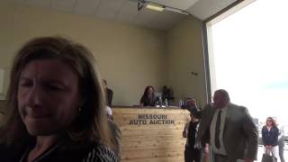 World Automobile Auctioneers Championship 2016, WAAC 2016 preliminaries