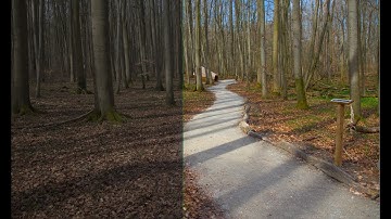 Darktable Episode 54: editing and addressing some questions part 2