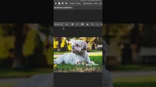 Make Selections With Generative Fill In Photoshop Beta