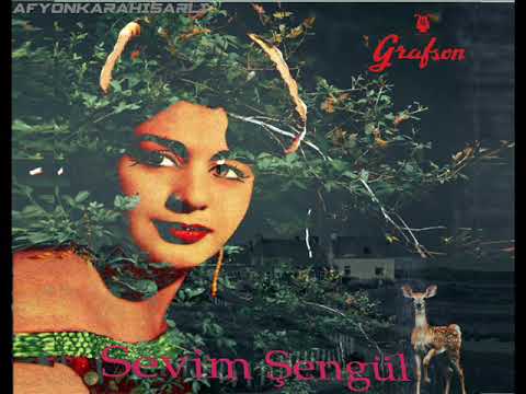 Sevim Şengül - Film Şarkıları