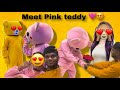 Meet pink teddyfinally see my partnermust watch full dance teddy tamil vlog love