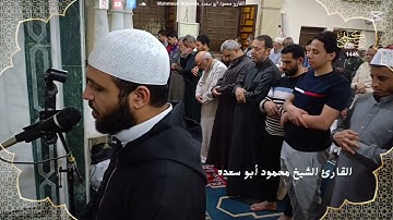 تلاوه خاشعه 41 | للقارئ الشيخ محمود أبو سعده الليله الرابعه عشر رمضان 1446