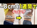 【デッドバグぽっこりお腹痩せるダイエット】デッドバグぽっこりお腹ダイエットで痩せる！ウエストを細くする方法&ストレッチ&腹筋トレーニング【下腹部痩せる】