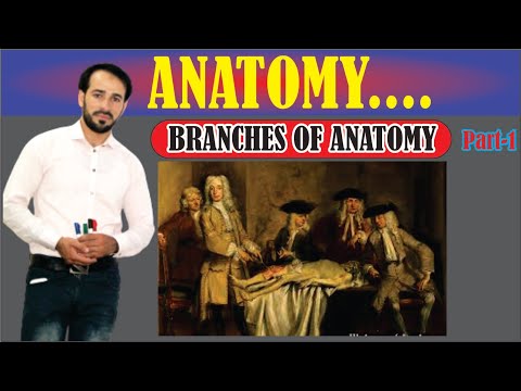 What the branches of Anatomy | Introduction of Anatomy | Learn Conceptually | Part-1