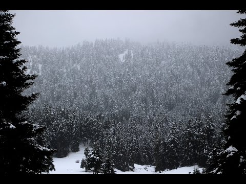Χιόνια χιονόπτωση χιονοδρομικό κέντρο Περτούλι λιβάδια Τρίκαλα Άνοιξη διαδρομή Κορονοϊός  27-3-2020