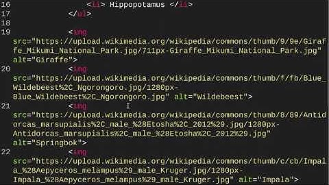 Add a Style Sheet (Web Development/Design - Unit 5 Lesson 2.4 - HTML Coding)