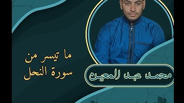 ما تيسر من سورة النحل