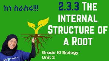 Grade 10 Biology Unit 2: 2.3.3 The Internal Structure of a Root | Saquama | ሳቋማ