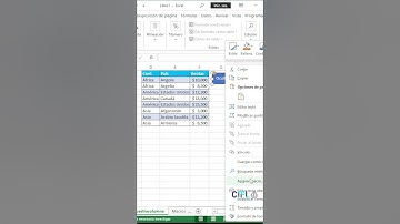 Cap 229: Oculta y Muestra Columnas con Esta Sencilla Macro en Excel VBA ¡Sorprendente! 📊💼
