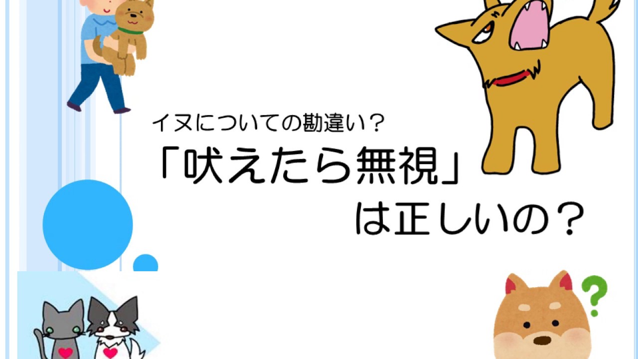 動物行動クリニックなかの 神戸の獣医行動診療科 往診 犬猫の問題行動 ペットの心の病院です