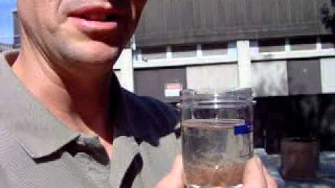 Protein Shake