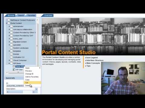 Create iView and Assign to Role: SAP Portal Tutorial (Part 3)