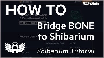 HOW TO Bridge BONE to the Shibarium Mainnet - Tutorial