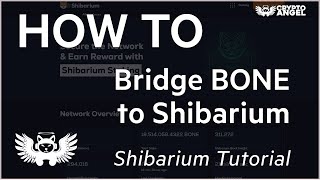 HOW TO Bridge BONE to the Shibarium Mainnet - Tutorial