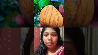 കാട്ടിലെ മാമ്പഴം🥭  ശ്രദ്ധിക്കണമെന്ന് പറയുന്നത് ഇതുകൊണ്ടാണ് 😱😱#shortsfeed #fruit #malayalamknowledge