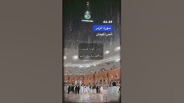 سورة الزمر الاية 46-49
