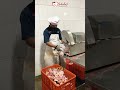 Capek jualan, tapi nggak ada hasilnya?