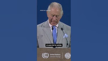 King Charles III issues stark warning at COP28