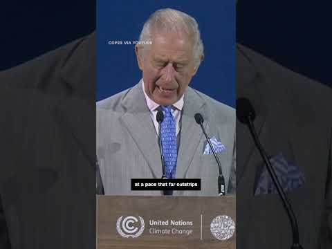 King Charles III issues stark warning at COP28