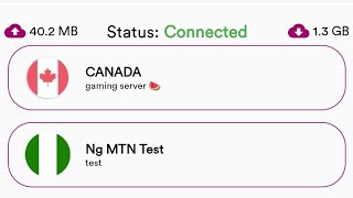 Easy Way to Connect Litron Shield VPN to Your PC (Beginner Guide) screenshot 4