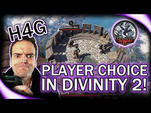 The Importance of Player Choice - Divinity Original Sin 2