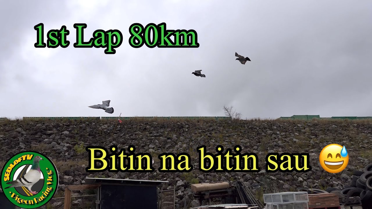 1st Lap ng TEAM SEDL.. grabe nasa pick conditions ang mga warriors ntn..