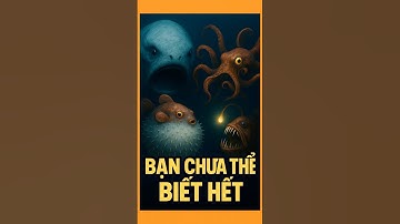 Bí Ẩn Những Sinh Vật Đại Dương Có Thật | The Bloop, Cá Nóc, Bạch Tuộc Mimik