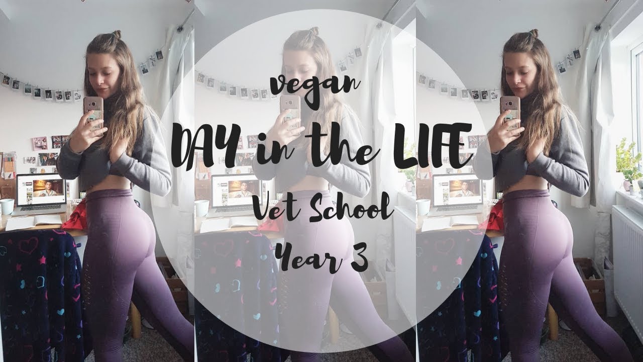 DAY in the LIFE // 3rd year VET + VEGAN YouTube