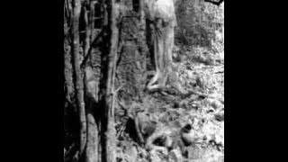 Expurgo  -  Grey Waste (Full Album) 2005