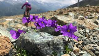 Switzerland 2019 Mountain Biking