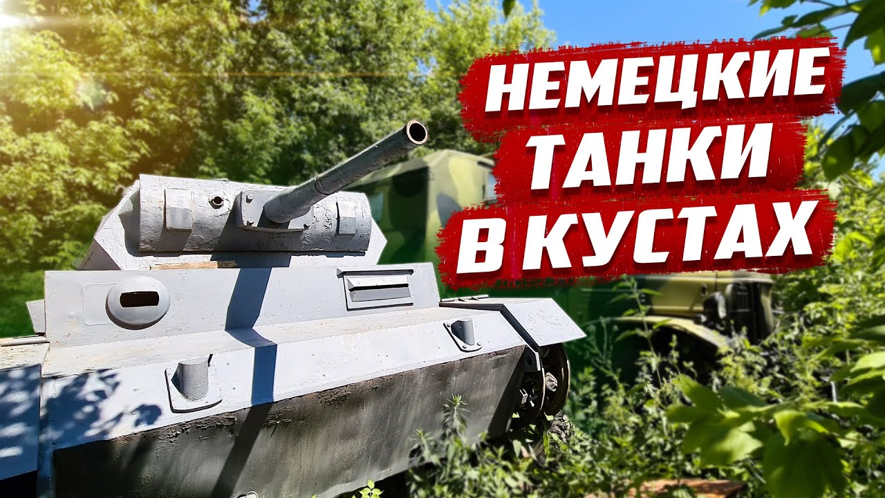 Машина в кустах