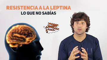 ¿Cuáles son las causas de la deficiencia de leptina?