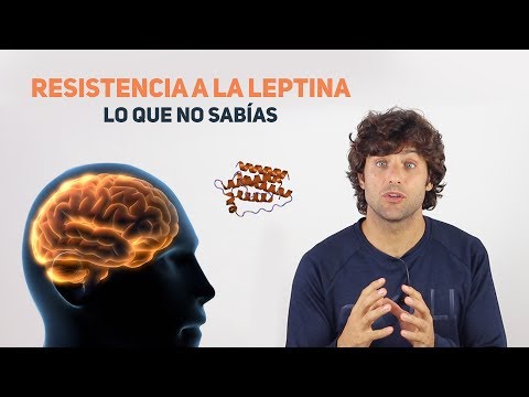 Resistencia a la Leptina, lo que no sabías.