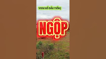 Đất Dầu Tiếng I Bán gấp lô đất view Hồ Dầu Tiếng giá ngộp #datdautieng