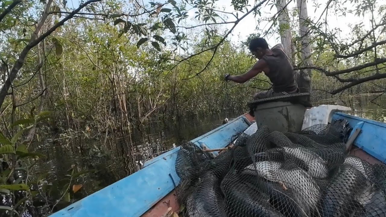 REJEKI BANG JAGO TOTAL NYA 18 EKOR IKAN TOMAN 